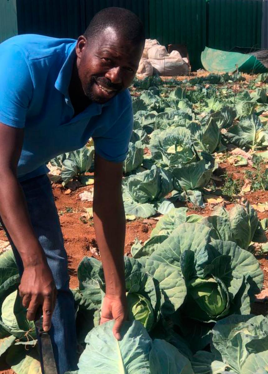 Simon Selwane's farming enterprise is providing good results thanks to DALRRD.